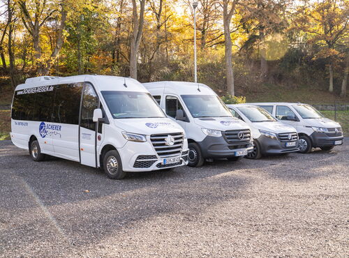 Mehrere verschiedene Scherer-Reisen Transporter stehen versetzt nebeneinander, Bäume im Hintergrund.
