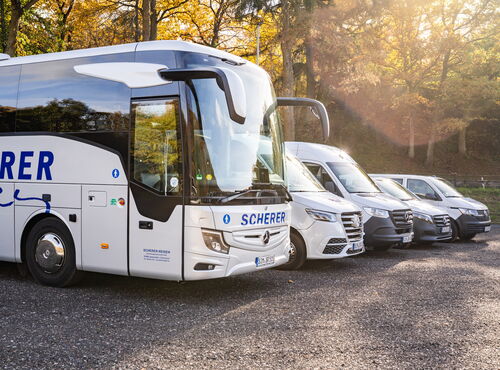 Mehrere unterschiedliche weiße Scherer-Reisen Fahrzeuge, wie Bus und Transporter, stehen schräg versetzt nebeneinander.