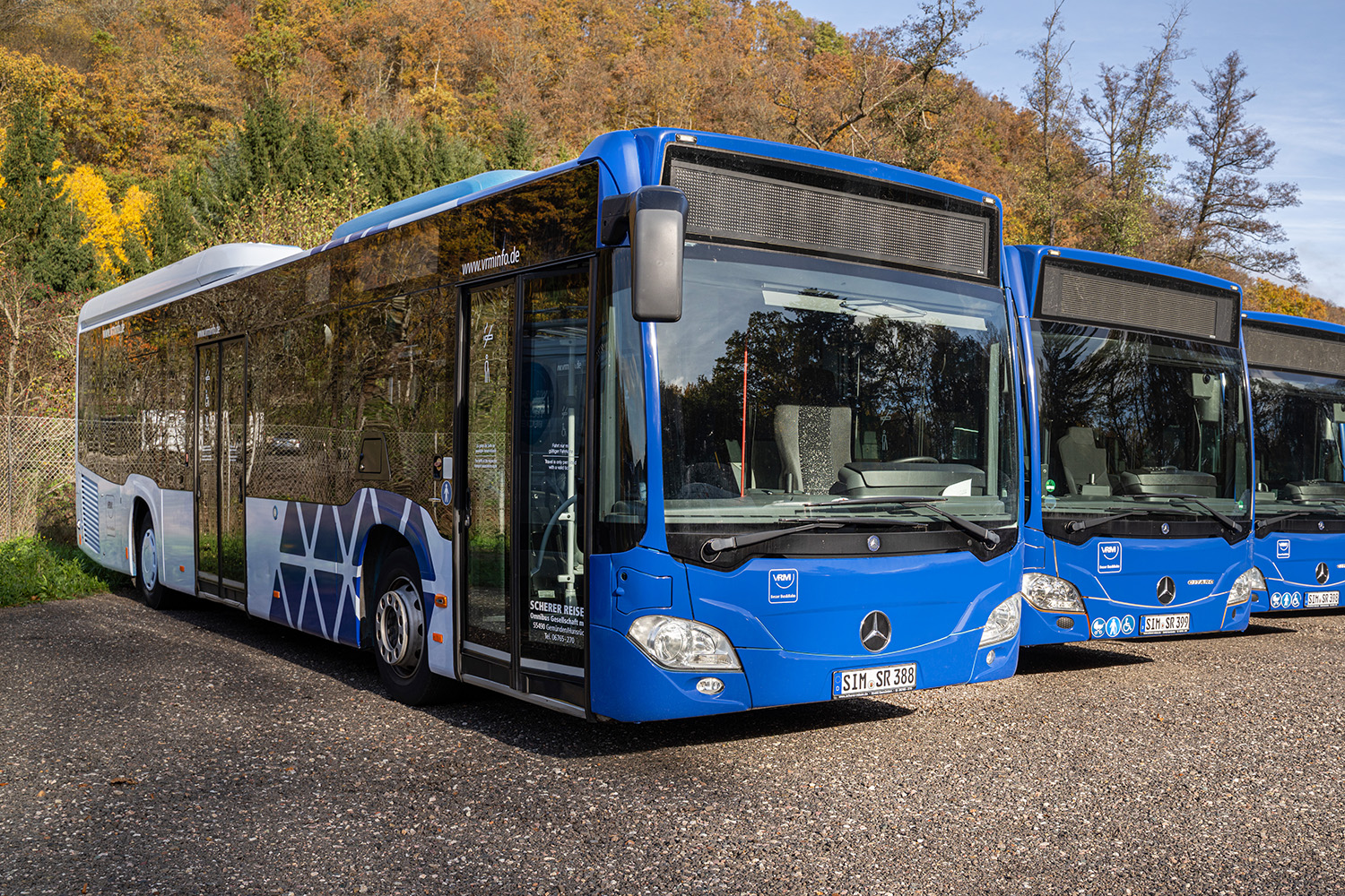 Blauer Scherer-Reisen Linienbus im Vordergrund, daneben aufgereihte identische Linienbusse.