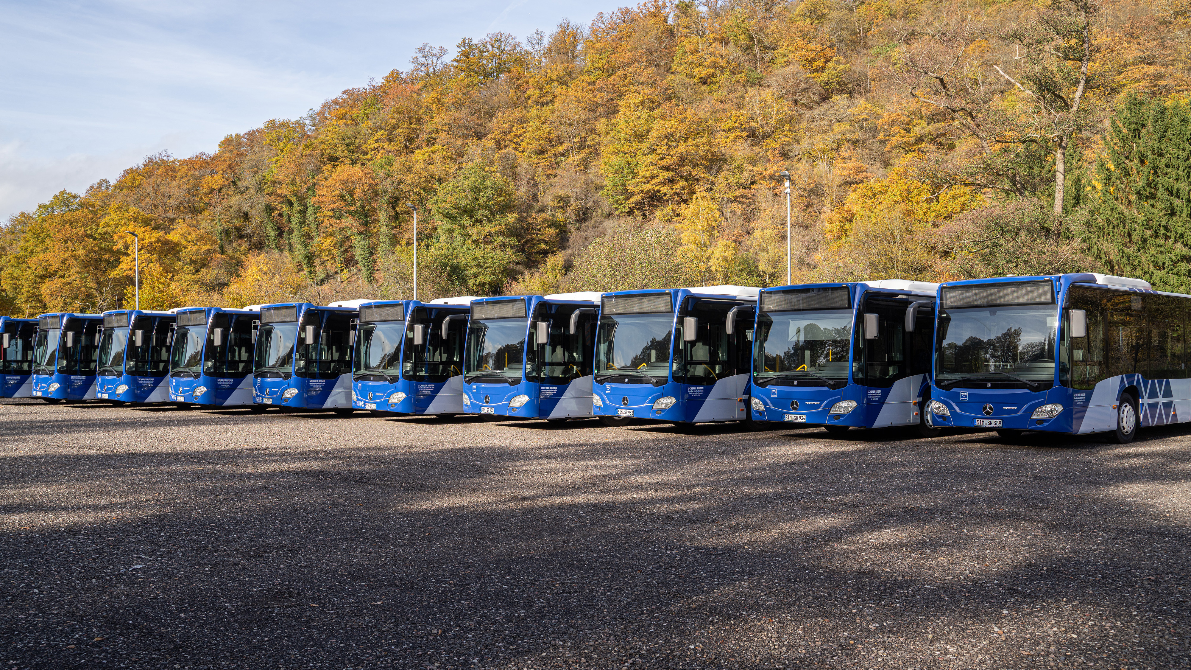 Mehrere blaue Scherer-Reisen Linienbusse versetzt nebeneinander aufgereiht auf einem Parkplatz.