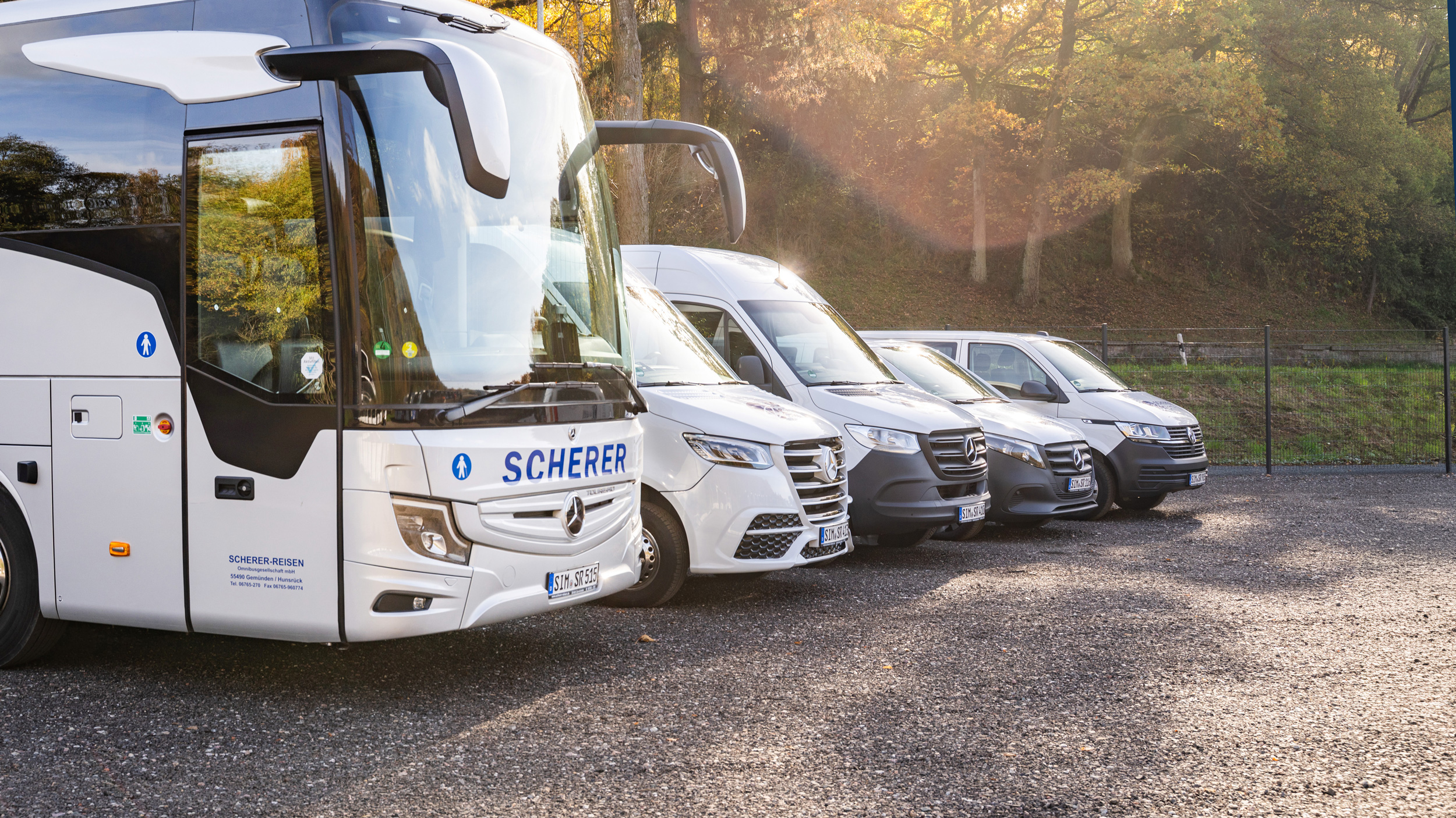 Mehrere unterschiedliche Scherer-Reisen Fahrzeuge, darunter ein Bus und Transporter, stehen schräg versetzt nebeneinander.